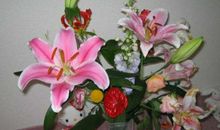 沉浸在花香的世界里