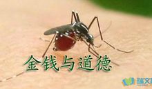 金钱与道德