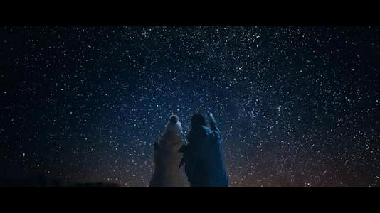 我和你一起看星星
