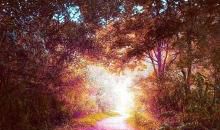 阳光原来一直在我心中