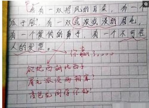 老师的手组成