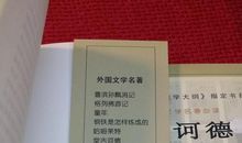 给唐吉诃德的一封信