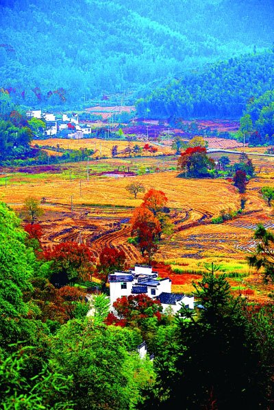 风景如画的国家