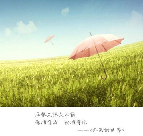 触动灵魂的白兰