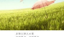 触动心灵的白兰