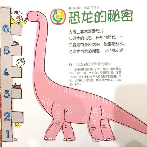 七板的秘密