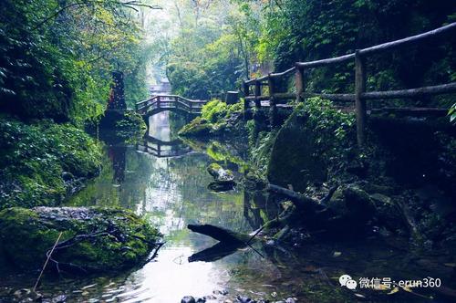 游览青城山的感觉