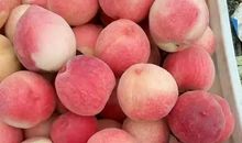 桃子是我的最爱