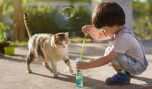 人和小动物感情