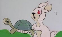 龟兔的第二次赛跑