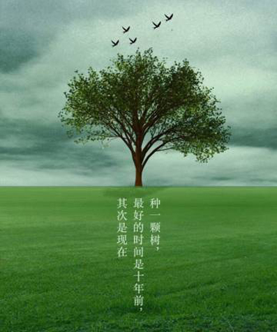 种一棵树，蓝蓝的天空