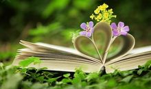 静，是一种生活智慧