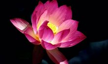 独处，红尘中最美的修行