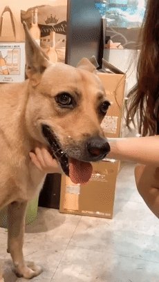 暴风雨