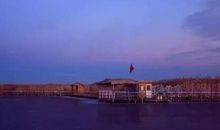 我读懂了大自然