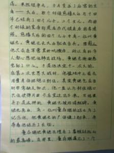娱乐构成