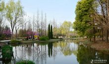 春游隋唐植物园