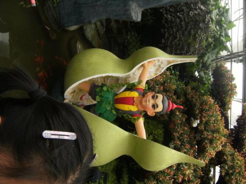 游寿光蔬菜博览会