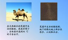 让自己适应环境