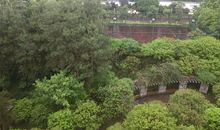 百安分院的花园