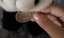 小熊猫看图写话