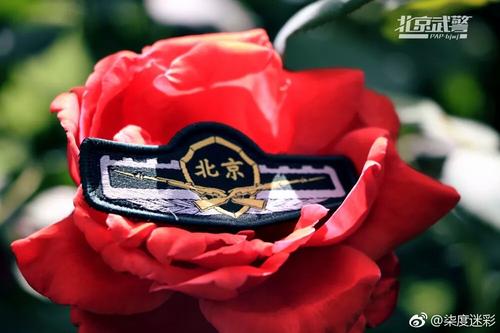 向我的青春致敬
