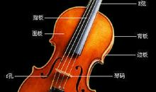 我和小提琴有个约会