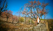 一场秋天的离别