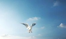 铭记过去，展望未来