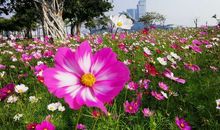 拼搏是一种最美的生命姿态