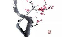 中华文化需要传承