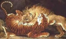 老虎和狐狸新编