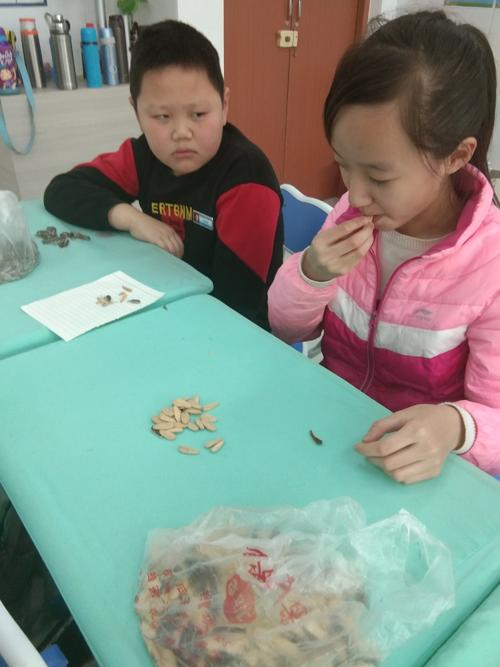 关于管道瓜种子的组成