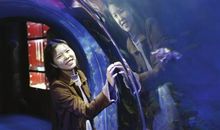 我和美人鱼过一天