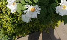 那一次，我真懊悔