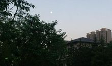 你就是一片阳光