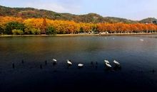 转身，发现另一种风景