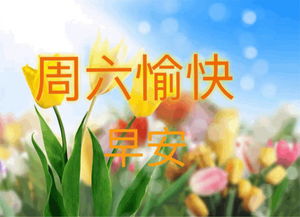 春节期间的生活经历