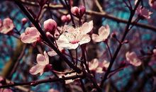 平凡事物中的美