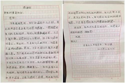 给最受尊敬的人的一封信