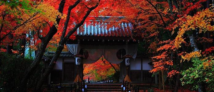京都一日游