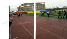 超越风雨迎接成功