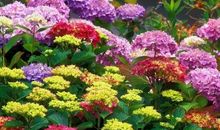 心灵好美vs样貌很美