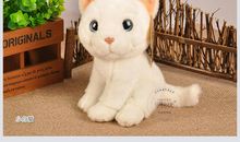 小花猫的快递商店