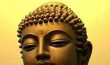 被人遗忘的菠萝头