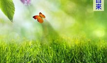 你来，花儿也盛开