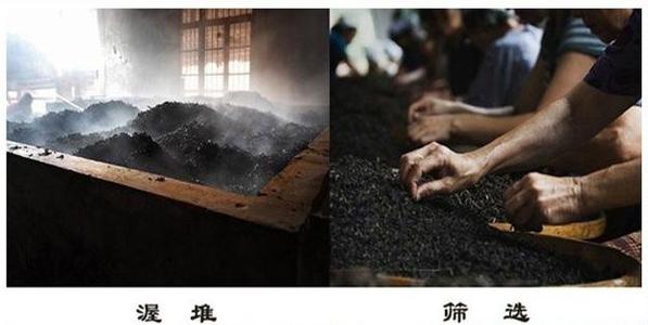 谈论茶