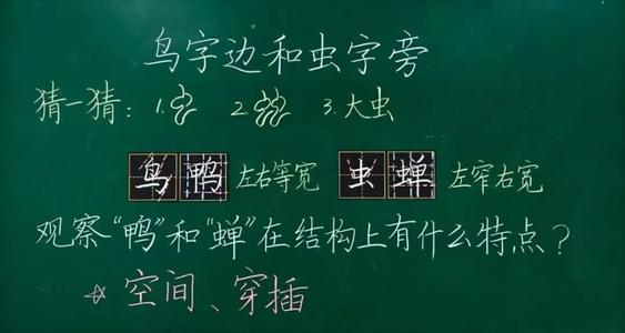 显示我的中文老师