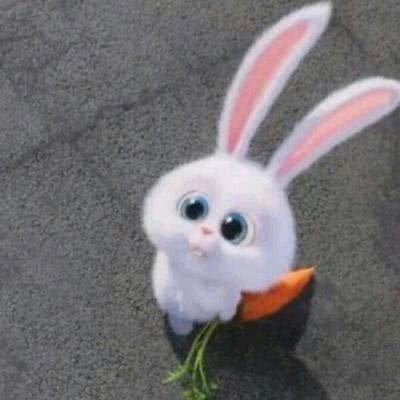 我的兔子
