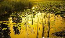 让心灵丰盈起来